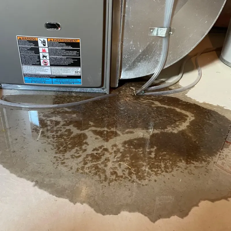 Appliance Leak Cleanup in Nanakuli, HI
