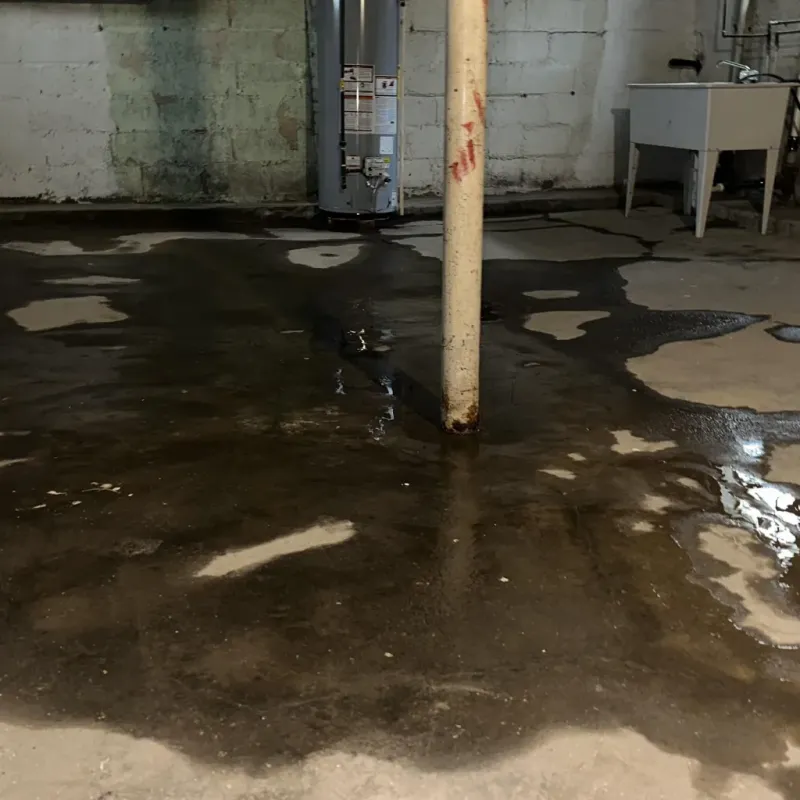 Emergency Water Extraction And Removal in Nanakuli, HI